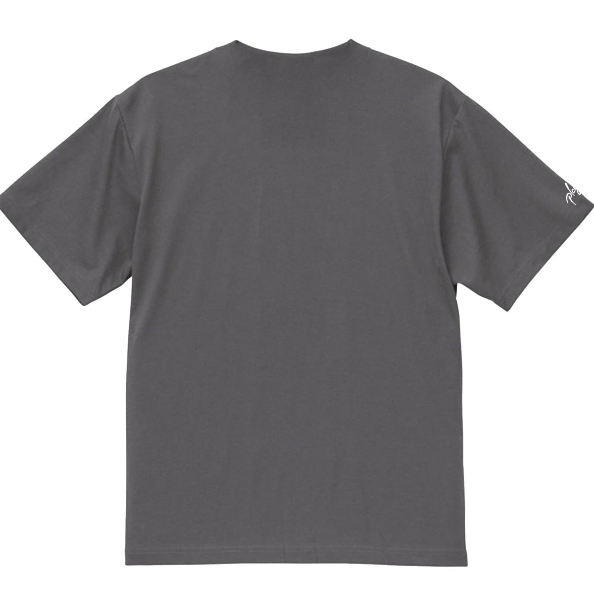 【限定20着】2026 新作Playful  City TEE 【Cement】